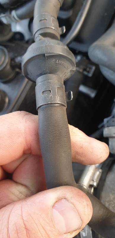 20190422_200514.jpg