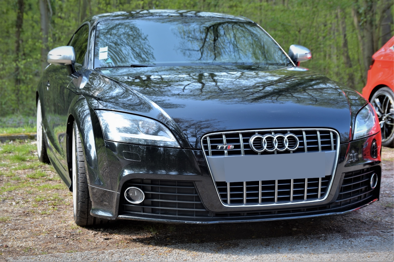 44048215_ABT_0963(2).thumb.jpg.9e4895a36fb11a5d80b765bd2f82ad7b.jpg