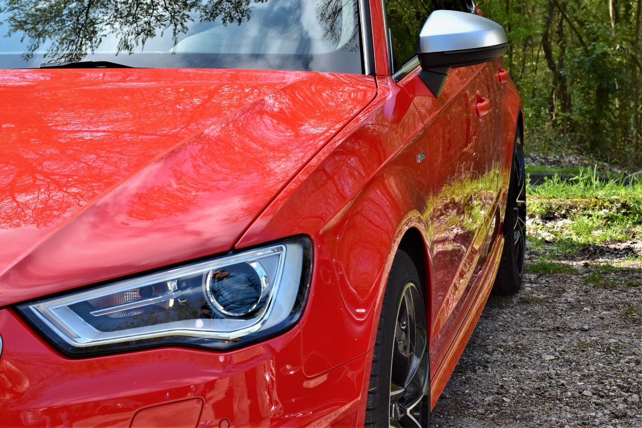 79187739_ABT_1003(2).thumb.JPG.e06e635e04774f886038f461f16ee1d1.JPG