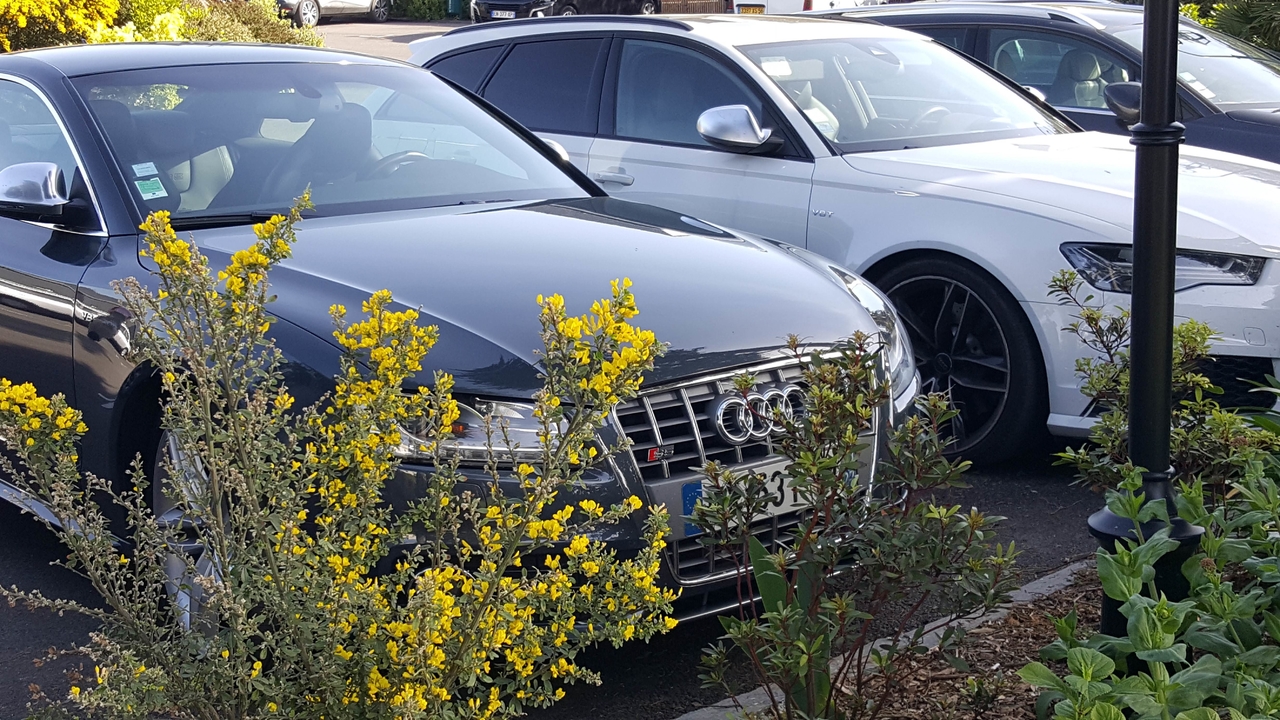 20190419_103440.jpg