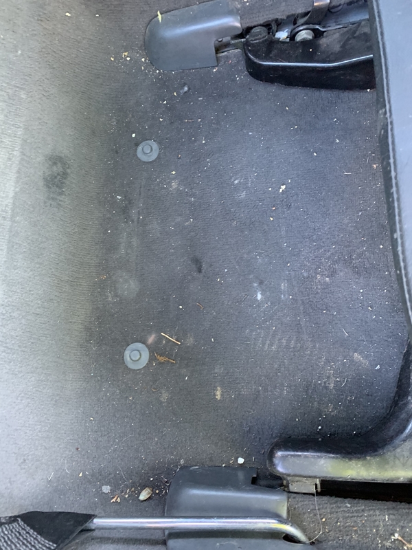 4A626383-3E44-40CE-B99C-88129F42A28C.thumb.jpeg.f02cdfac95e0854d90d6e7c0b8274cbb.jpeg