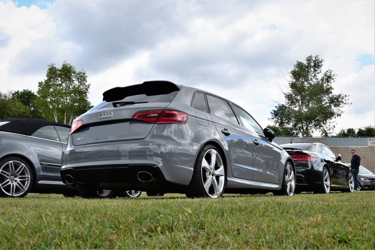 ABT_2141.thumb.jpg.7f4acb277bd27337abbbef5fd1b65a24.jpg