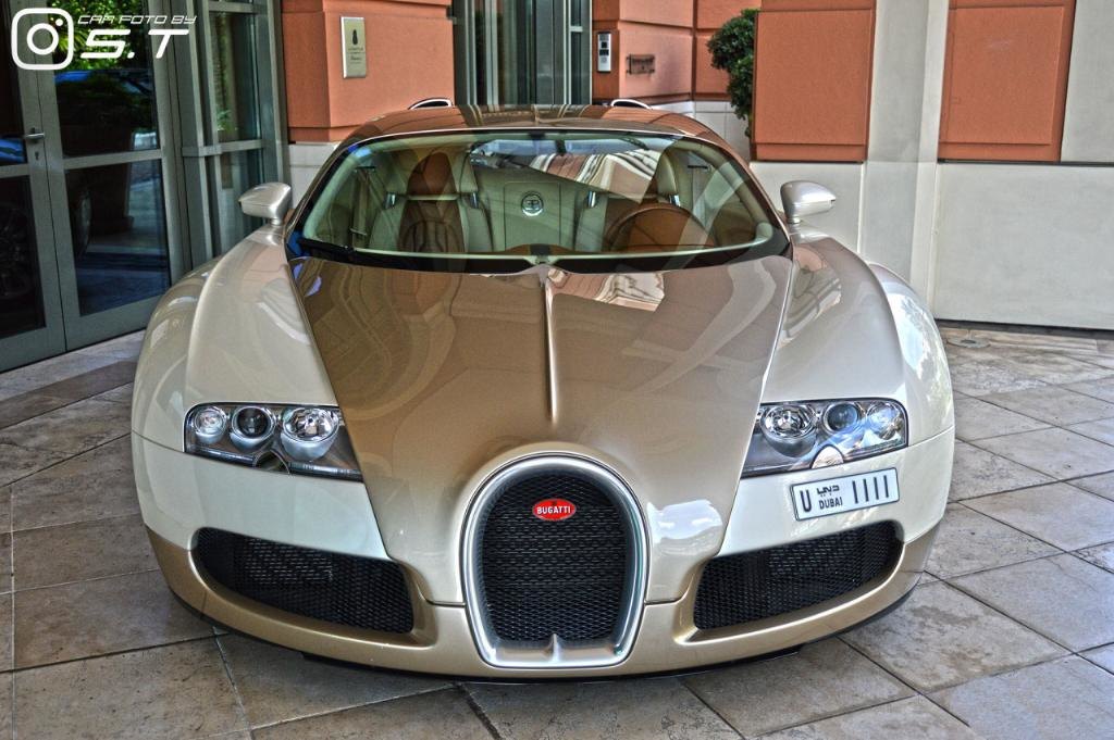 1409148525_BUGATTIVEYRON2535.jpg.4df4fbaa9e77a9b133deaa00f7842022.jpg