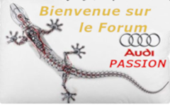 BIENVENUE2.png.ebd65dc211e2b548b464116663b40a21.png