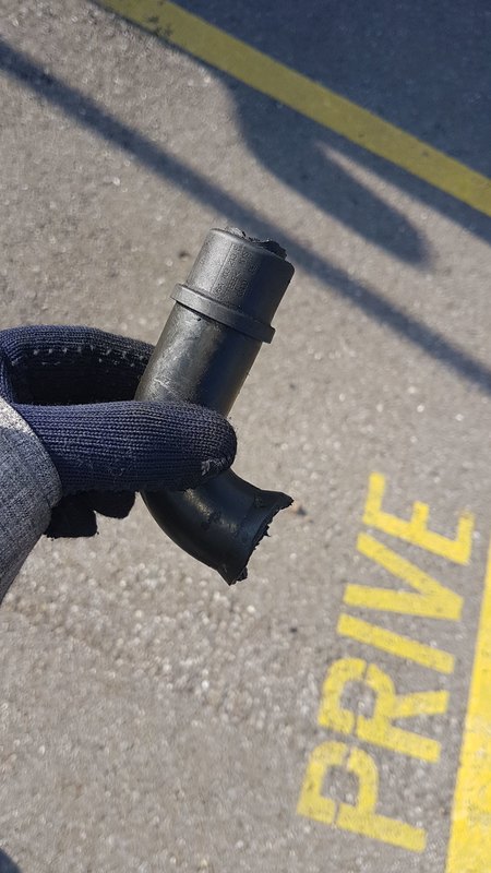 IMG-20191228-WA0000.jpeg