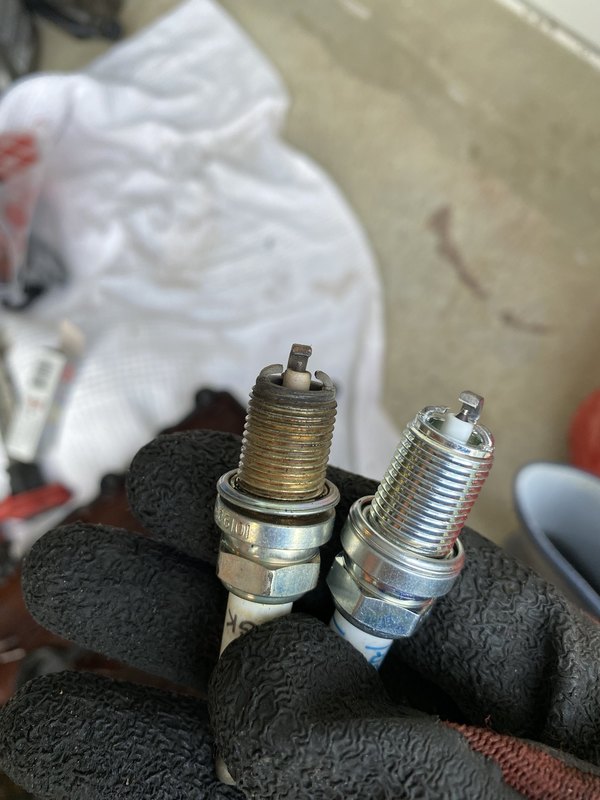 C5DAF45A-83E3-4437-B96F-7A3650084059.thumb.jpeg.feb59c3827c57f821f5efc8b288edcde.jpeg