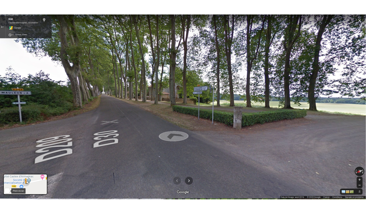 379628801_CASTEXDARMAGNAC1.thumb.png.11db2fda92742c4bfca4fdd9436cbea5.png