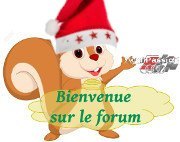 BIENVENUENOEL.jpg.303556e008becedccd0a14da27aaefba.jpg