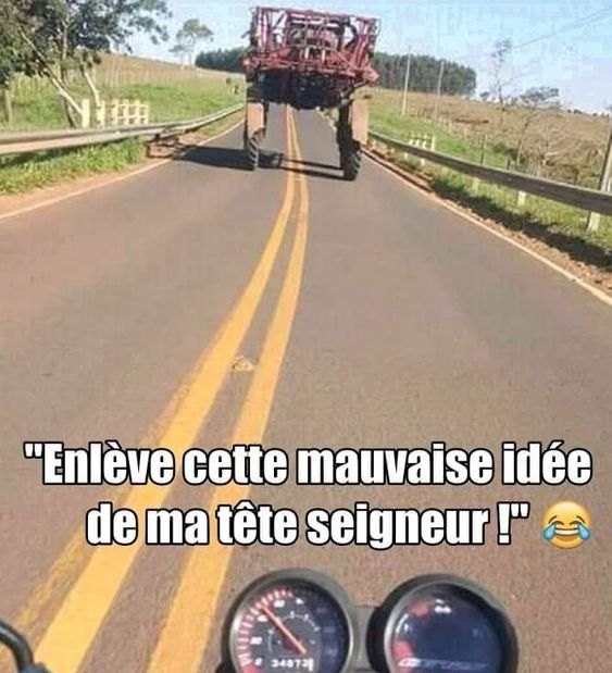 Enjambeur.jpg.b7f31736f49f7df71c4ea0016508c5c5.jpg