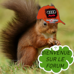 BIENVENUEECUREUIL1.png.b601e37c854ce7e9e9ff64bf7fc8e49d.png
