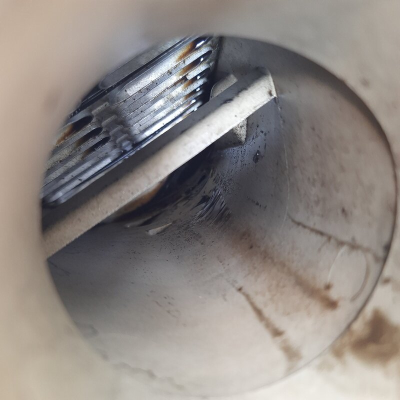 20250427_165832.thumb.jpg.5aa5d8dcc801f4ddfd6d8a2ccb825e42.jpg