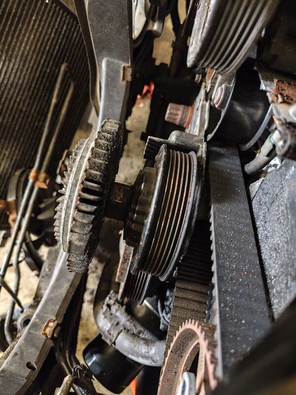 WhatsApp Image 2025-06-05 at 14.00.34.jpeg