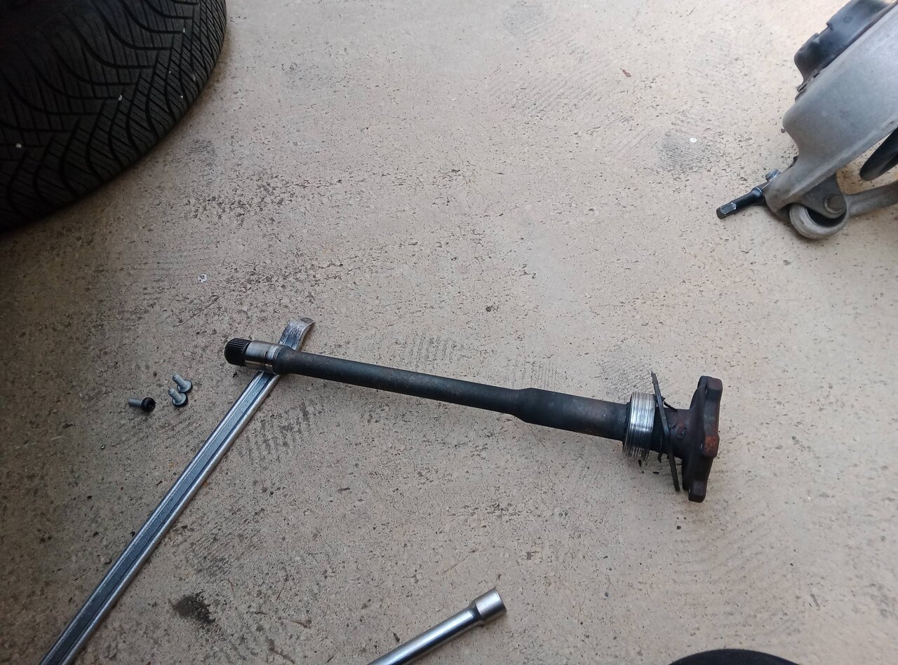 003 la tulipe déposer.jpg