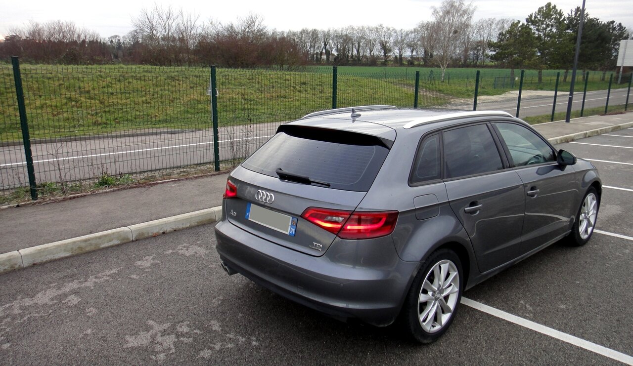 retouchée DSC08629.JPG